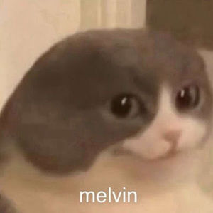 Meet your Posher, Robin